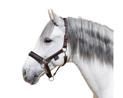 Horse-friends Spanisches Halfter Sevilla