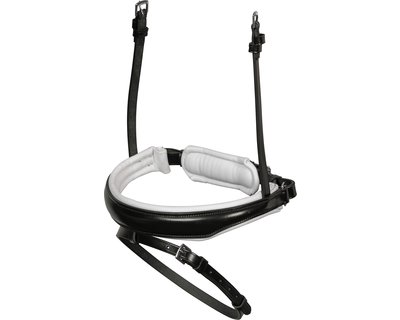 Schwedisch kombiniertes Reithalfter