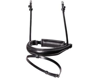 Schwedisch kombiniertes Reithalfter