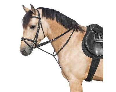 MONTIVUM Thiedemann Springkombination