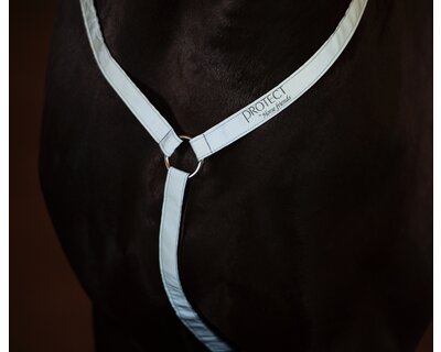 PROTECT by Horse-friends Vorderzeug