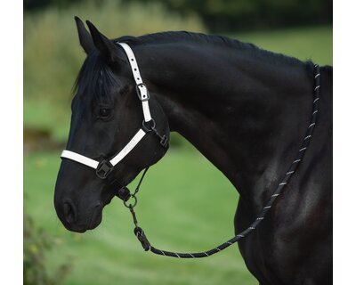 PROTECT by Horse-friends Halfter