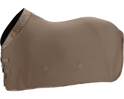 ESKADRON Platinum Abschwitzdecke Aerial Jersey