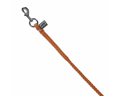 ESKADRON Platinum Führ- und Anbindestrick Regular mit Karabiner