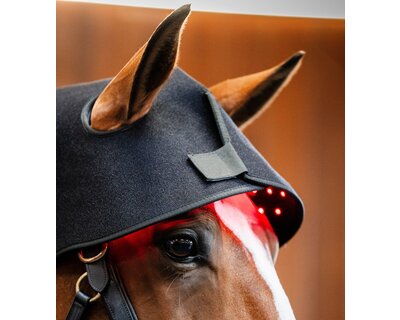 HORSEWARE Genickhaube LED Red Light Therapy