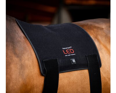 HORSEWARE Pad LED Red Light Therapy