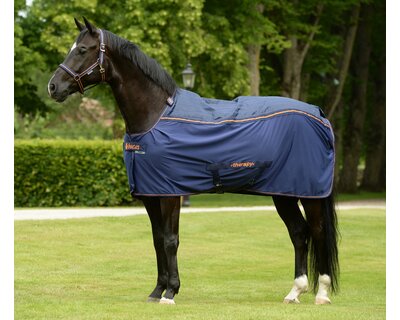 bucas Decke Therapy Cooler