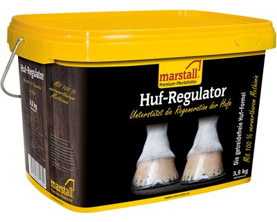 marstall Huf-Regulator