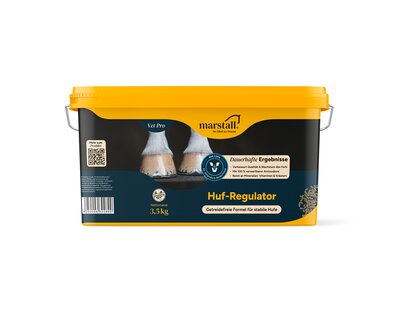 marstall Huf-Regulator