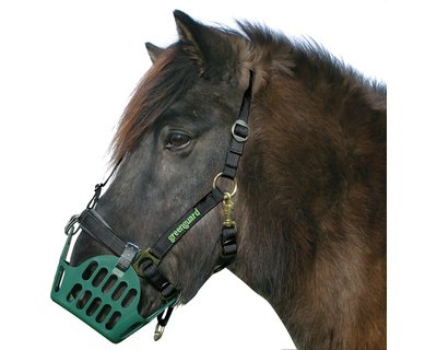 greenguard Halfter