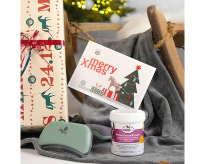 X-MAS Set für Hunde - Pflege, Komfort & Schutz