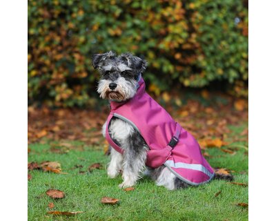 bucas Hundemantel Dog Rug Freedom 300 g