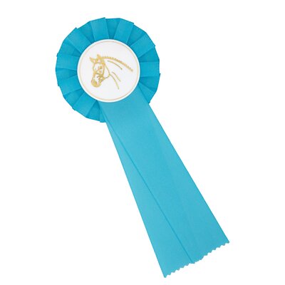 Turnierschleife Einfachrosette hellblau