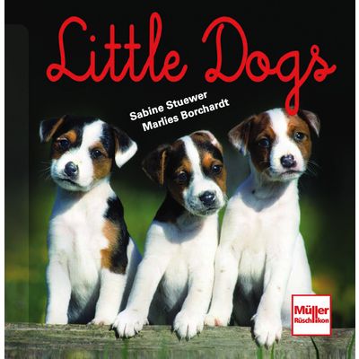 Little Dogs 
