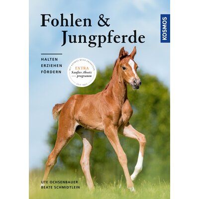 Fohlen und Jungpferde 