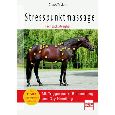 Stresspunktmassage nach Jack Meagher 