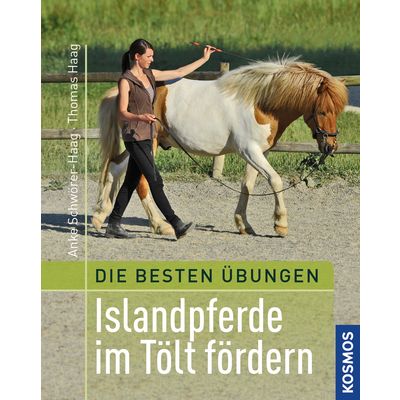 Islandpferde im Tölt fördern