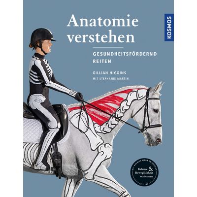 Anatomie verstehen 
