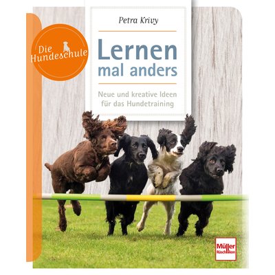 Lernen Mal Anders Neue Kreative Ideen Fur Das Hundetraining Hunde Loesdau Passion Pferdesport