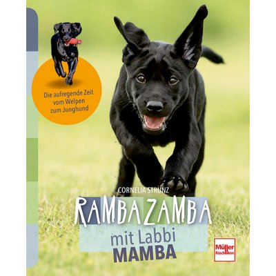 Rambazamba mit Labbi Mamba 