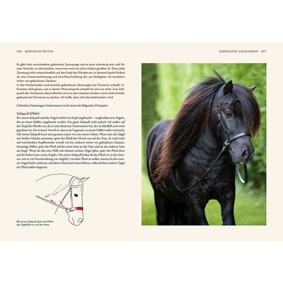 KOSMOS Gebisslos Reiten