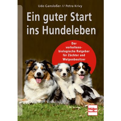 Ein guter Start ins Hundeleben 