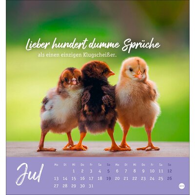 Postkartenkalender Hühner 2026 - Ach, du verrücktes Huhn – Ansicht 4