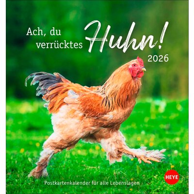 Postkartenkalender Hühner 2026 - Ach, du verrücktes Huhn – Ansicht 1