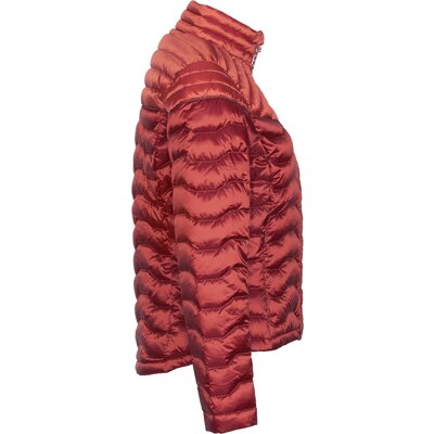 ARIAT Daunenjacke Ideal Down