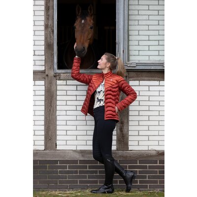 ARIAT Daunenjacke Ideal Down
