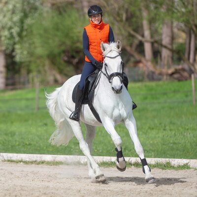 black forest Steppweste – Ansicht 5