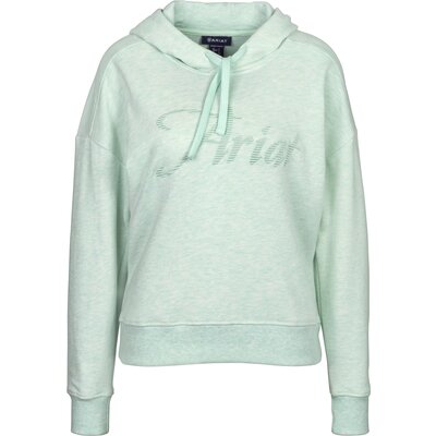ARIAT Just Hoodie – Ansicht 1
