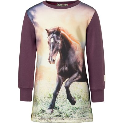 BONDI Sweatkleid Pferd plum | 116