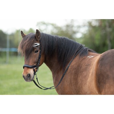 Horse-friends Island Kopfstück Salford mit Glitzer – Ansicht 2