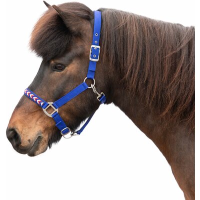 Horse-friends Island-Halfter Falkirk 