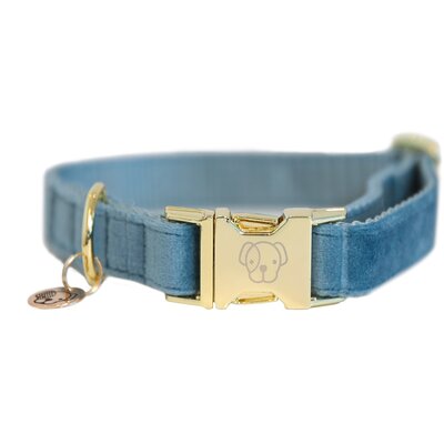 KENTUCKY DOGWEAR Hundehalsband Velvet lightblue | XS