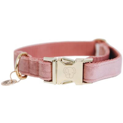 KENTUCKY DOGWEAR Hundehalsband Velvet 