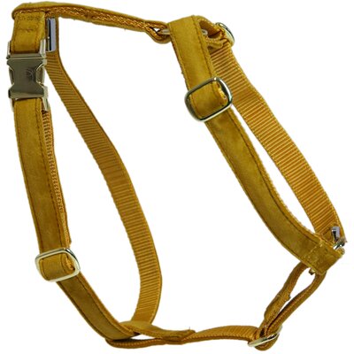 KENTUCKY DOGWEAR Hundegeschirr Loop Velvet 