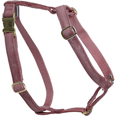 KENTUCKY DOGWEAR Hundegeschirr Loop Velvet 