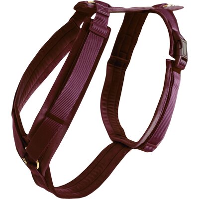 KENTUCKY DOGWEAR Hundegeschirr Activ Velvet 