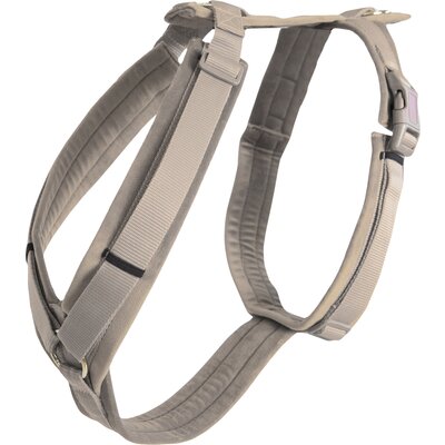 KENTUCKY DOGWEAR Hundegeschirr Activ Velvet 