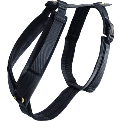KENTUCKY DOGWEAR Hundegeschirr Activ Velvet black | XS