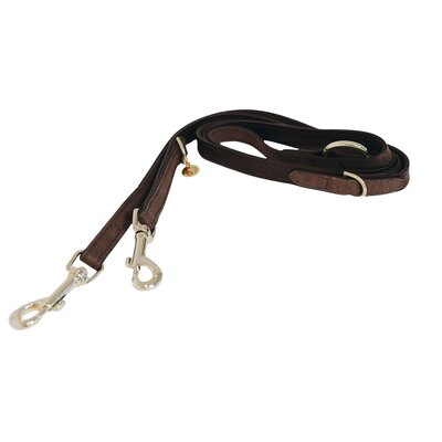 KENTUCKY DOGWEAR Hundeleine Velvet brown | 2M