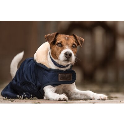KENTUCKY DOGWEAR Hundemantel Original