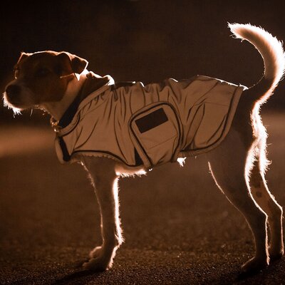 KENTUCKY DOGWEAR Hundemantel reflektierend und wasserabweisend – Ansicht 3