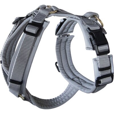 KENTUCKY Dogwear Hundegeschirr Active L | grau