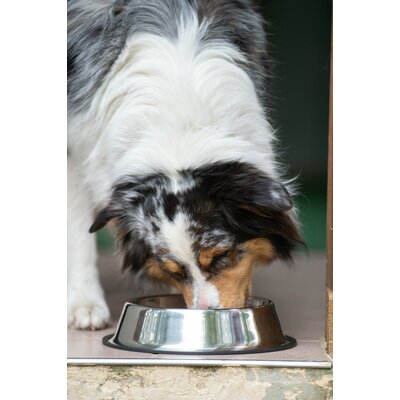 pawberry Hundenapf Edelstahl – Ansicht 2