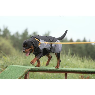 pawberry Hundehalsband Sintra