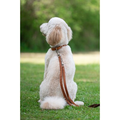 pawberry Hundehalsband Praha