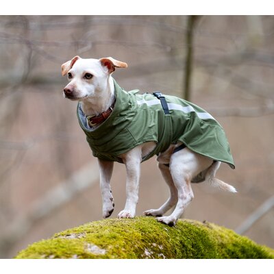 pawberry Softshell-Hundemantel Reus – Ansicht 4